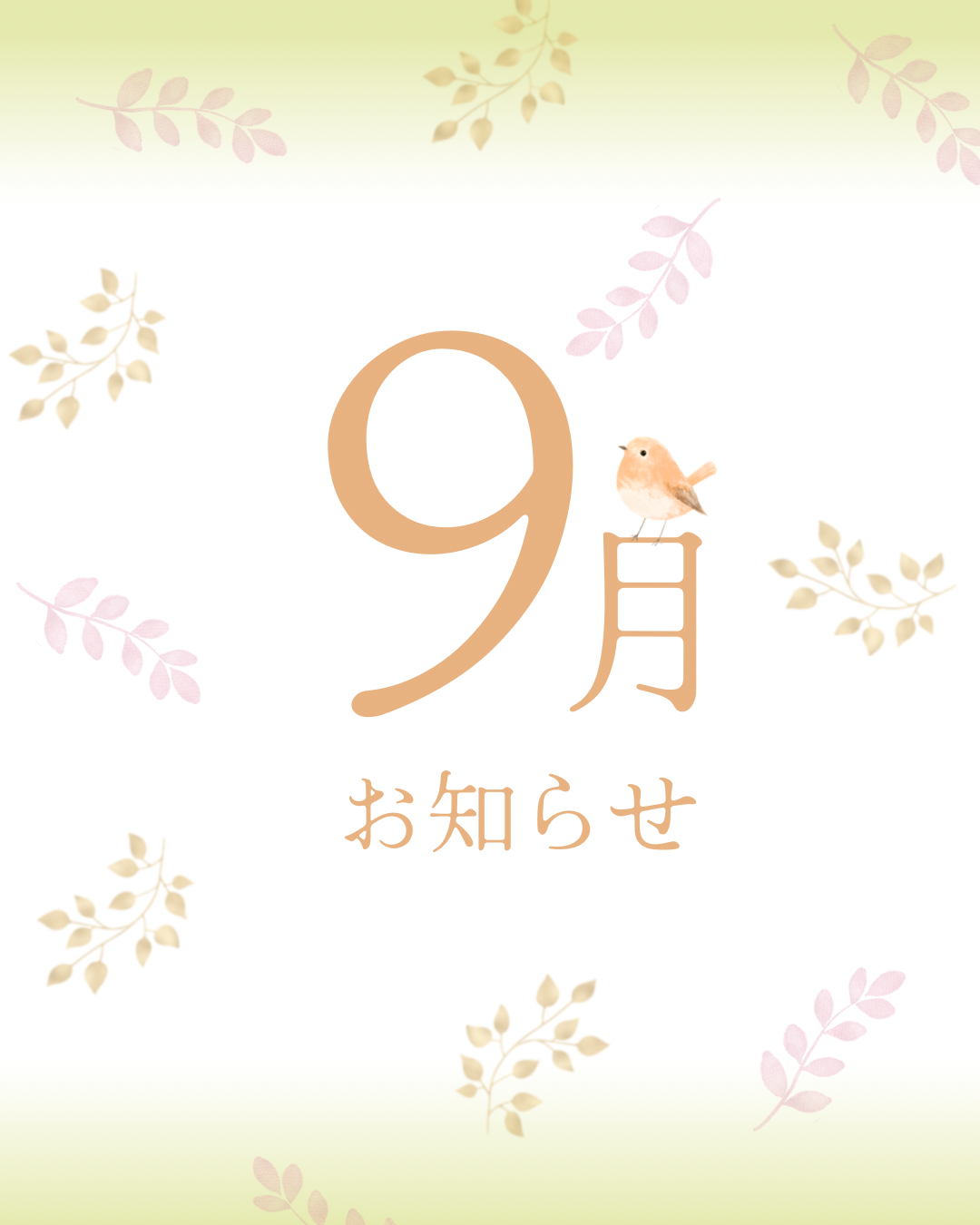 今月の予定
